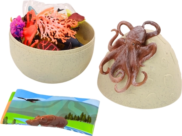 Huevo con pulpo: juego y almacenamiento