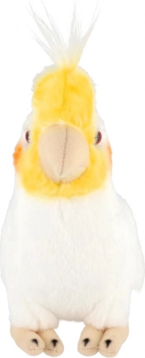 Segura desde el nacimiento