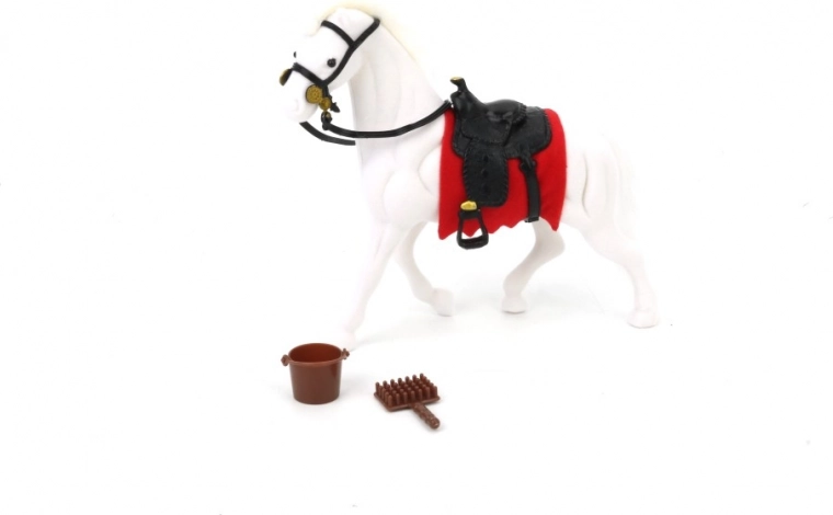 Set de juego con accesorios