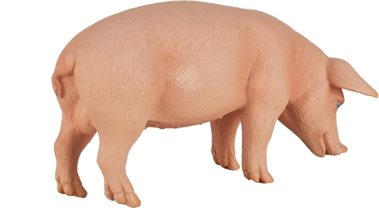 Apta para coleccionistas