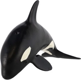 Ideal para la educación