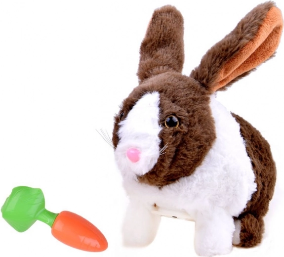 Alimentación divertida con zanahoria