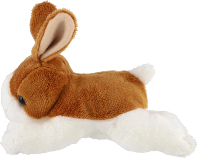 Compacto y fácil de agarrar