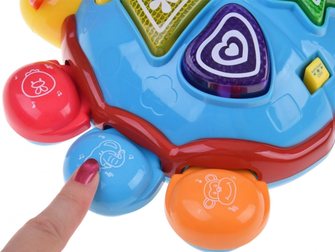 Enseña colores y animales