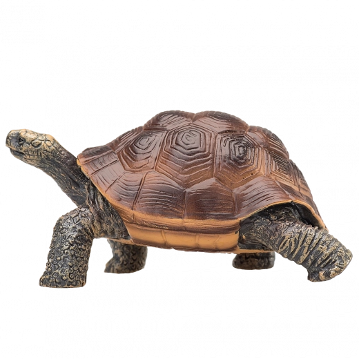 Plástico resistente e inocuo