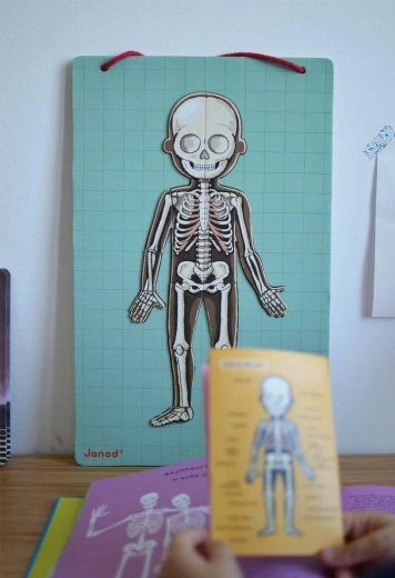 Conocimiento visual del cuerpo humano