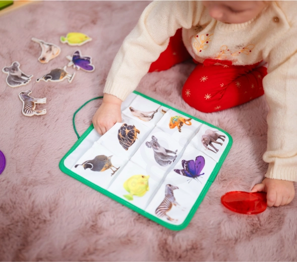 Aprendizaje divertido sobre la luz