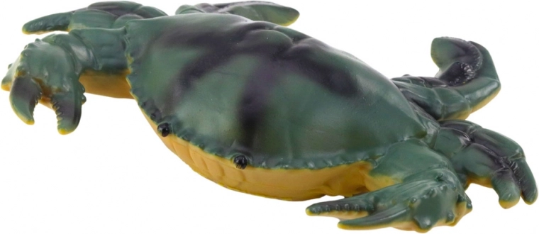 Colores realistas y diferentes tipos de animales marinos