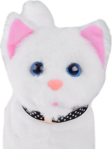 Movimientos de cabeza, hocico y cola