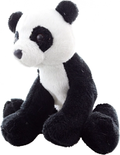 Segura para todas las edades