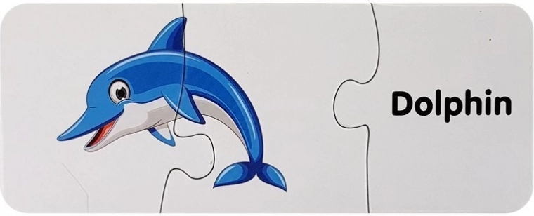 Conocer el mundo marino