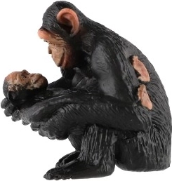 Valor educativo para niños y escuelas