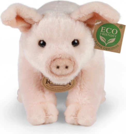 Relleno ECO‑FRIENDLY respetuoso