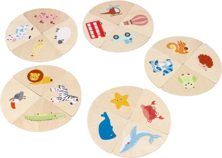 Rompecabezas circulares didácticos