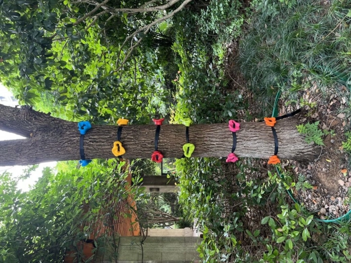 Ruta ajustable para distintas habilidades