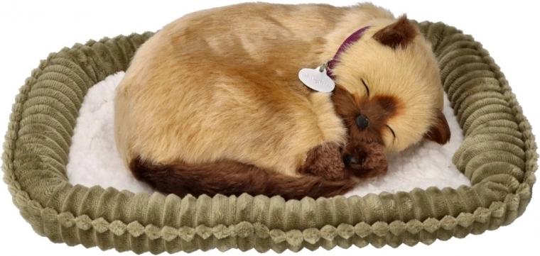 Camita suavísima para exhibir