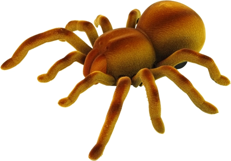 Aspecto realista de tarántula