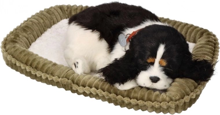 Apariencia fiel y comodidad