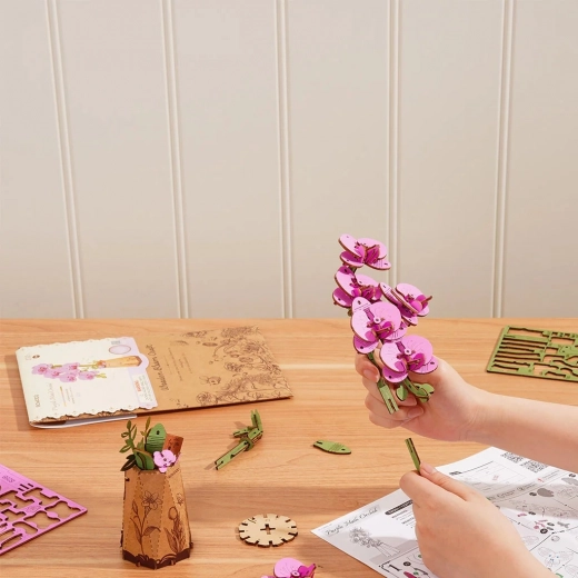 Diversión creativa y educativa