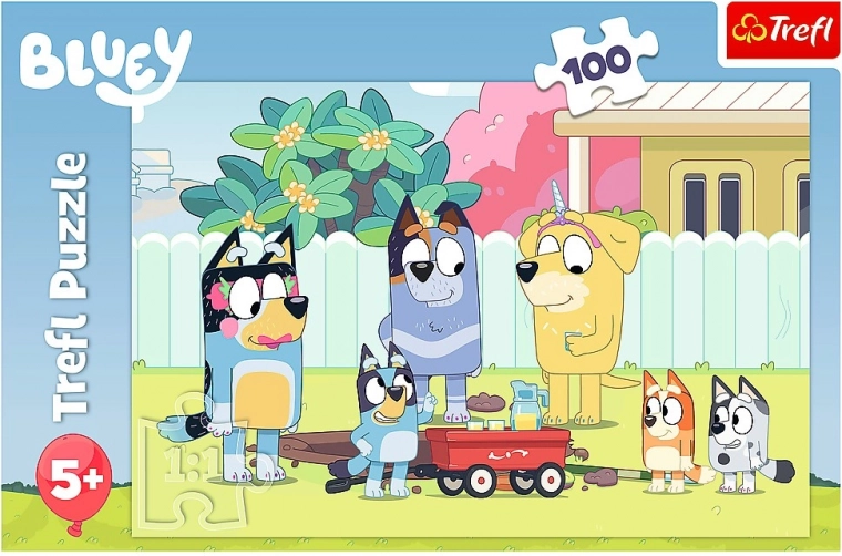 100 piezas – reto ideal a partir de 5 años