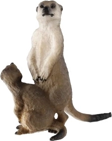 Detalles realistas para un aspecto vívido