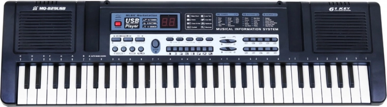 Sonidos y ritmos versátiles para principiantes