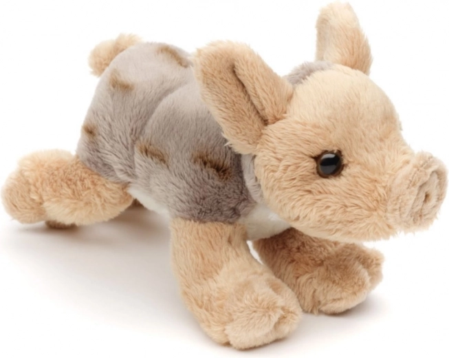 Ligero e ideal para viajes