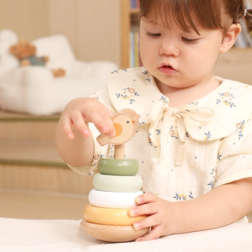 Desarrollo de la motricidad y el pensamiento lógico