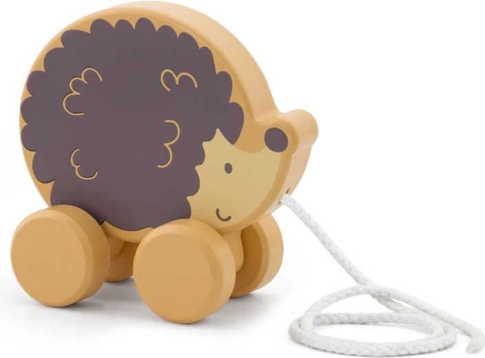 Favorece las habilidades motoras