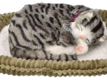 Gatito de peluche que respira – atigrado gris