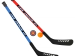 Juego de palos de hockey con pelota y disco