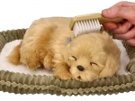 Adopta un cachorro de golden retriever que respira