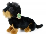 Rappa perro salchicha de pelo duro de peluche 30 cm eco friendly