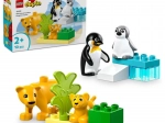 LEGO® DUPLO® 10442 Familias de animales salvajes: pingüinos y leones